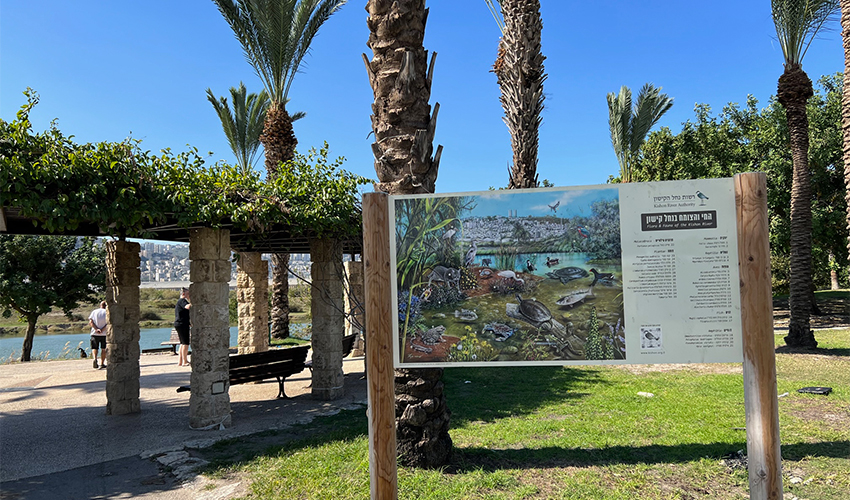 פארק הקישון (צילום: חגית הורנשטיין)