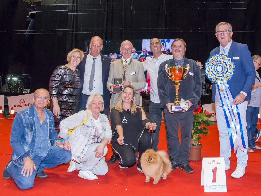 נטע כוכבת התערוכה (צילום: יגאל פדרו)