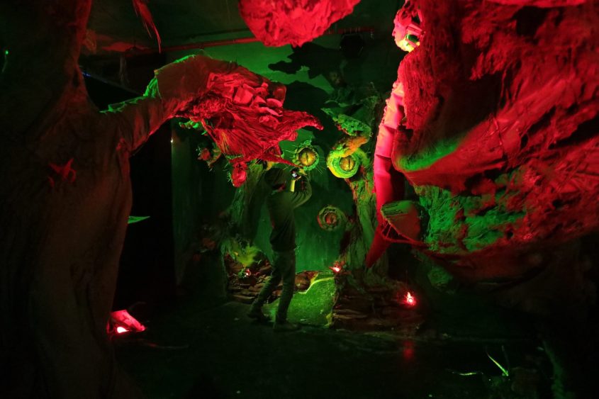 מוזיאון הלילה ElseWhere (צילום: ג'וד מוסקוביץ)