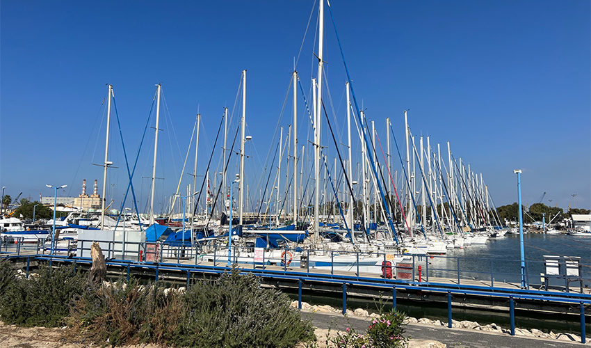 מעגנת שביט (צילום: חגית הורנשטיין)
