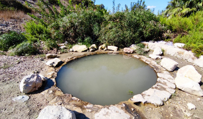 המעיין בנחל אחוזה (צילום: דוברות עיריית חיפה)