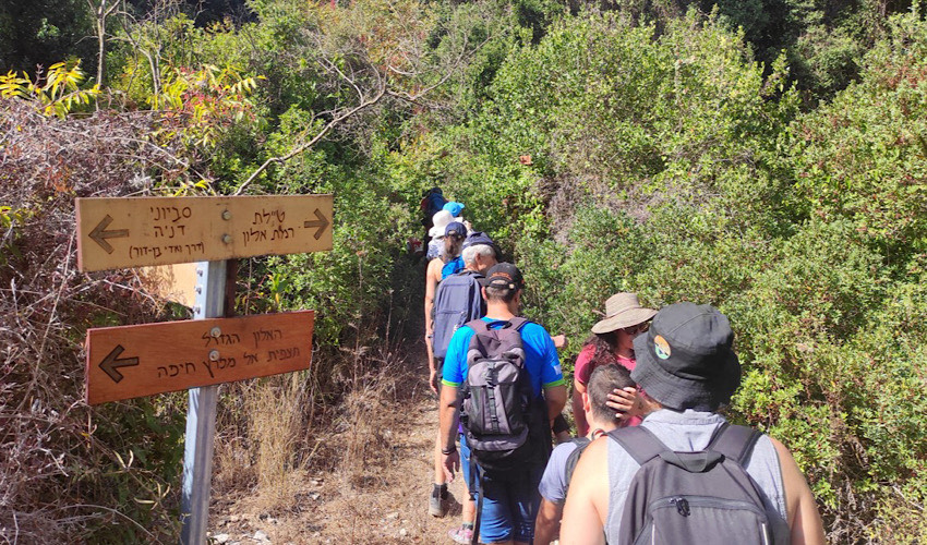 טיול בטבע בחיפה (צילום: דוברות עיריית חיפה)