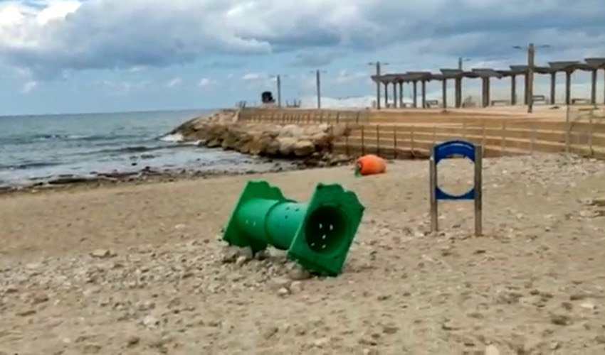 חוף הכלבים בבת גלים (צילום: יובל בוסין)