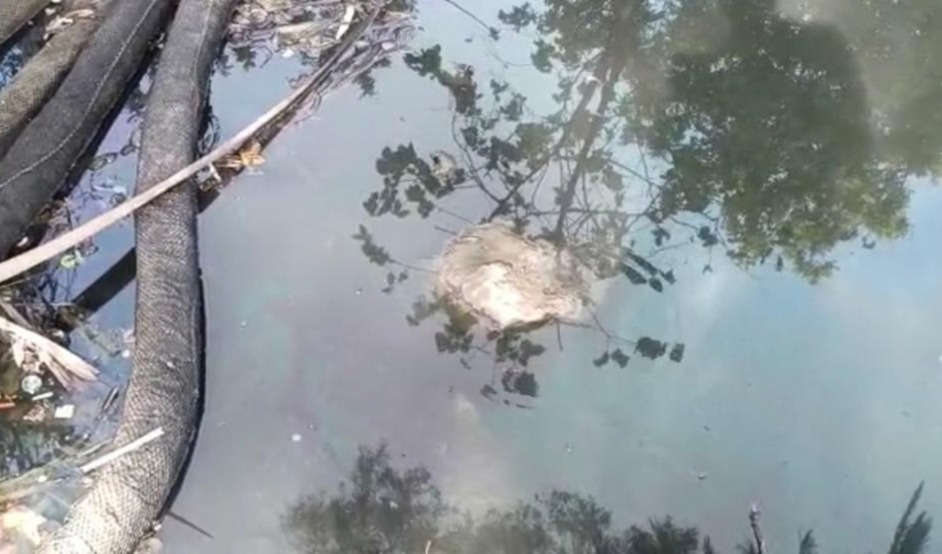 מימי נחל סעדיה נצבעו בשחור (צילום: אריק דרובוט)