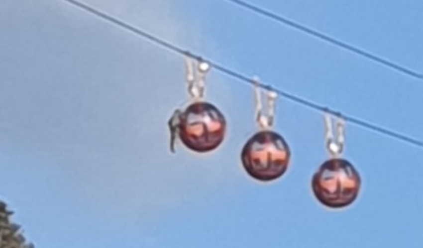 פעלולן מחוץ לקרונית הרכבל (צילום: שימוש לפי סעיף 27א' לחוק זכויות יוצרים)