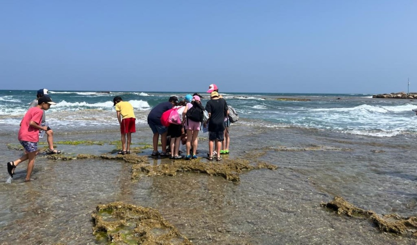 מגלים את נפלאות הים (צילום: אקואושן)