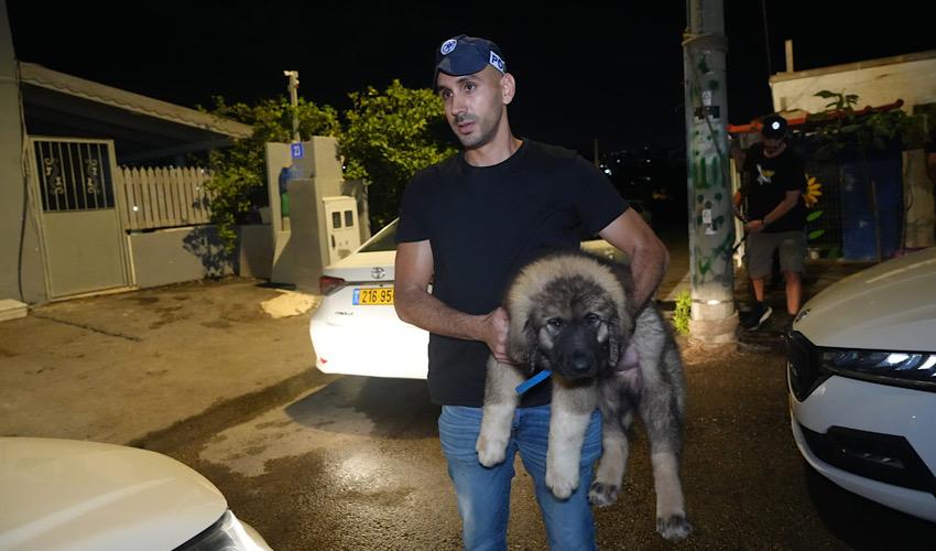 שוטר מחלץ כלב שלפי החשד עבר התעללות (צילום: דוברות המשטרה)