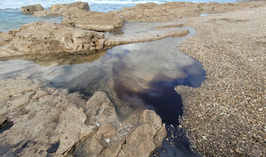 זיהום הסולר בחוף שקמונה (צילום: רשות הטבע והגנים)