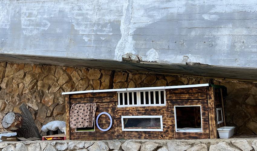 הצימר ברחוב דובנוב (צילום: חגית הורנשטיין)