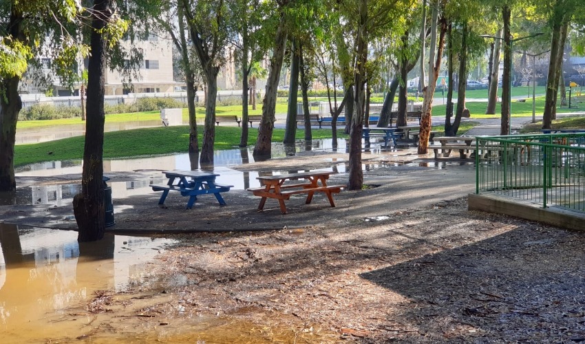 גם אזור הספסלים בטיילת קרית אליעזר מוצף (צילום: בועז כהן)