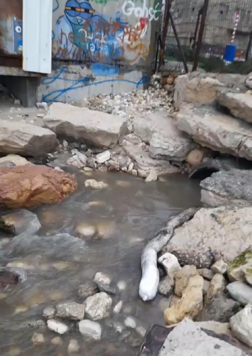 מוצא הניקוז בחוף הקזינו בבת גלים (צילום: ד"ר יובל ארבל, צלול)
