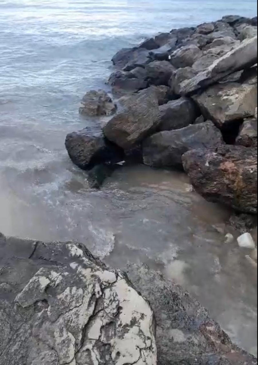 מים מזוהמים זורמים לחוף בת גלים (צילום: ד"ר יובל ארבל, צלול)