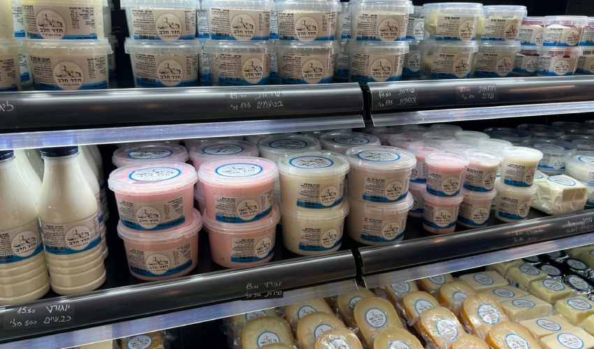 מקרר הגבינות בחנות "חדר חלב" (צילום: חגית הורנשטיין)