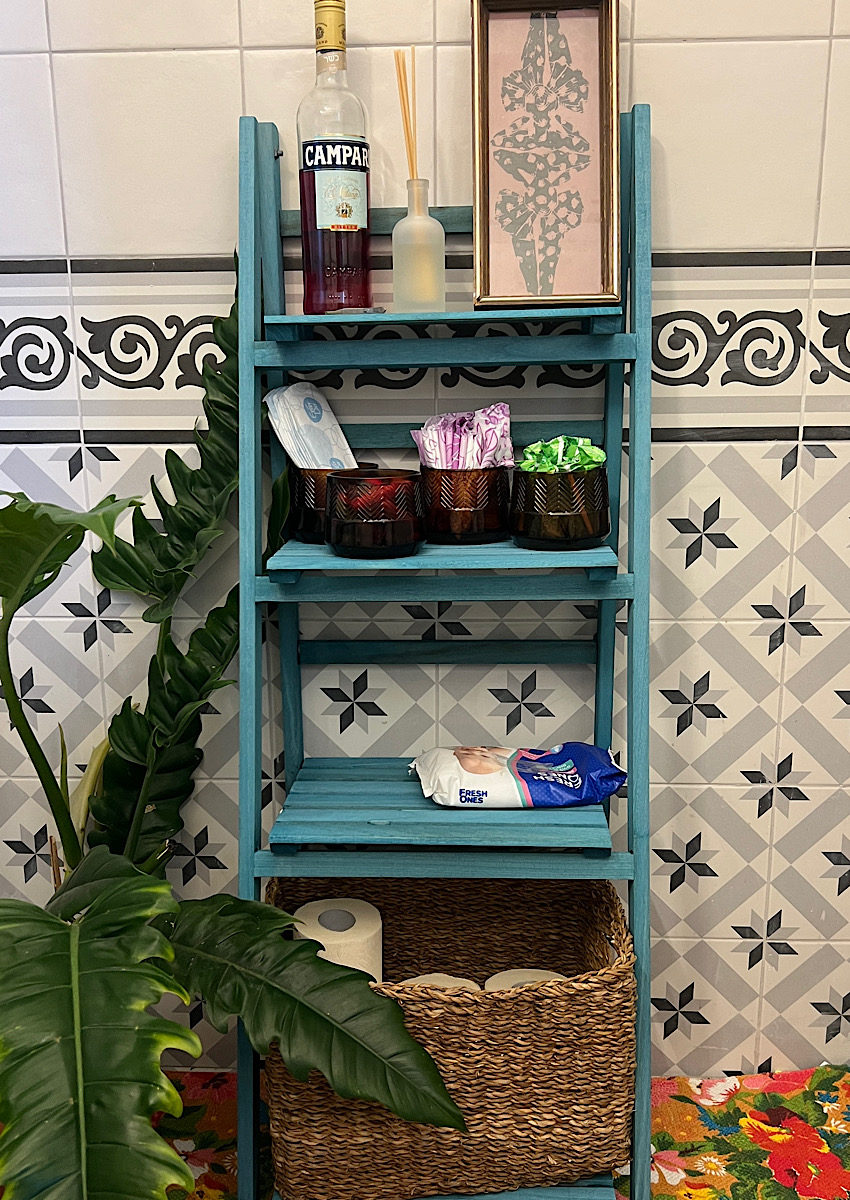 קמפרי בחדר השירותים ליד מוצרי היגיינה נשיים (צילום: חגית הורנשטיין)