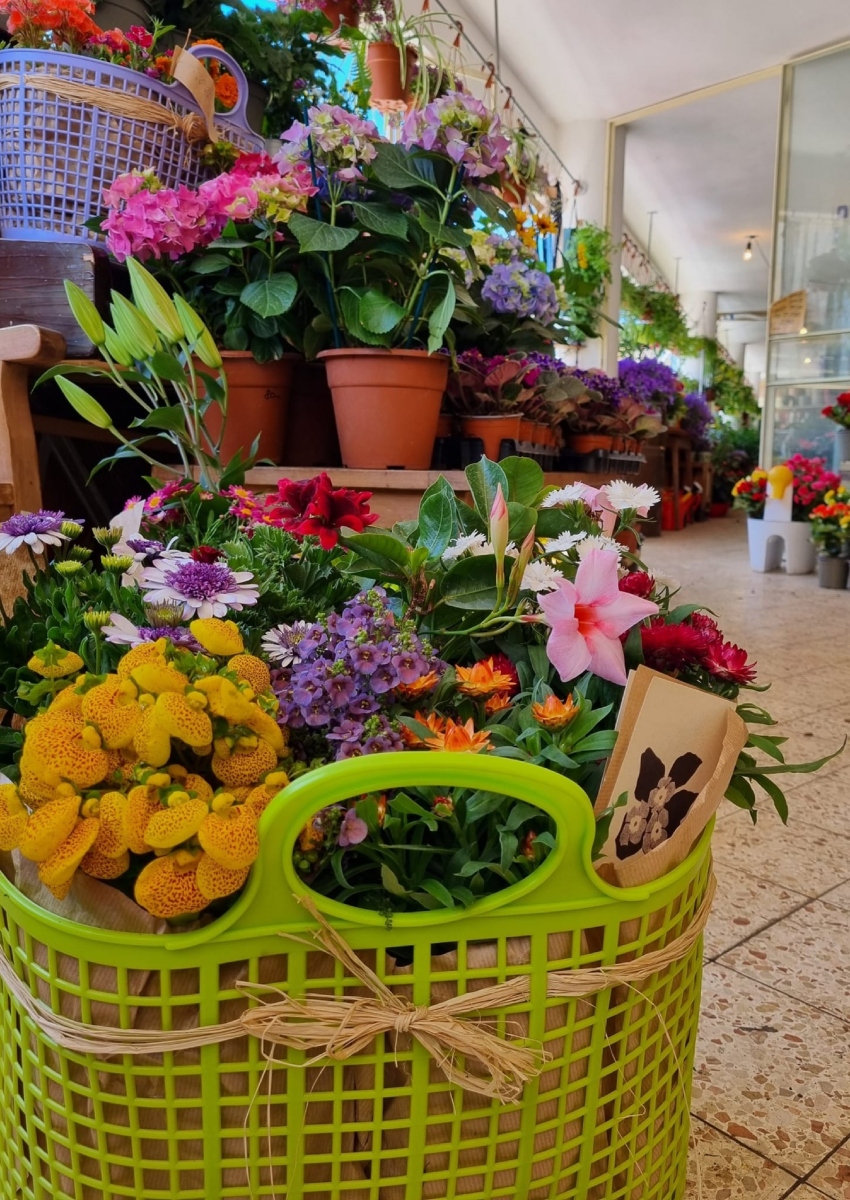 שוק צמחים (צילום: עמוד הפייסבוק)