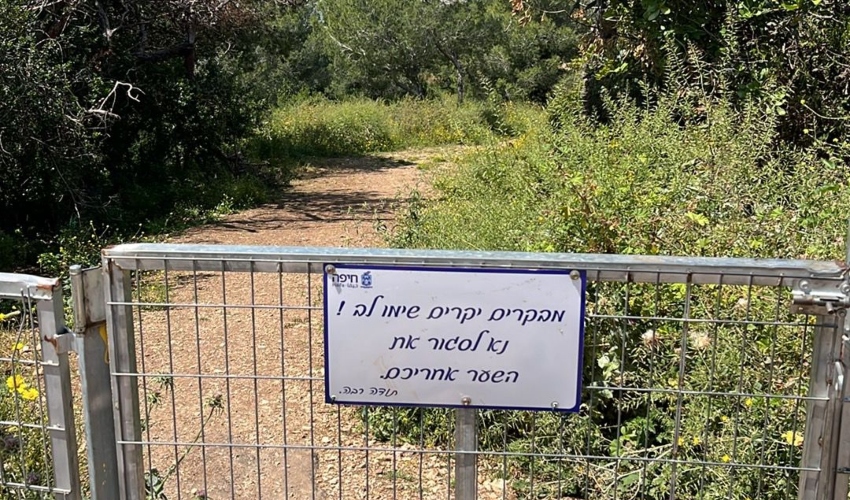 הכניסה לנחל אזוב מרחוב מרגלית (צילום: ארז ליפליס)