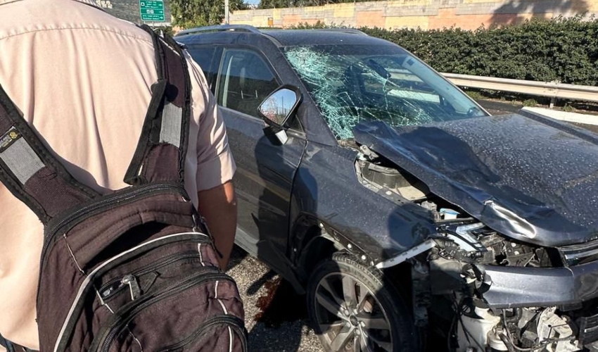 הרכב הפוגע (צילום: שימוש לפי סעיף 27א' לחוק זכויות יוצרים)