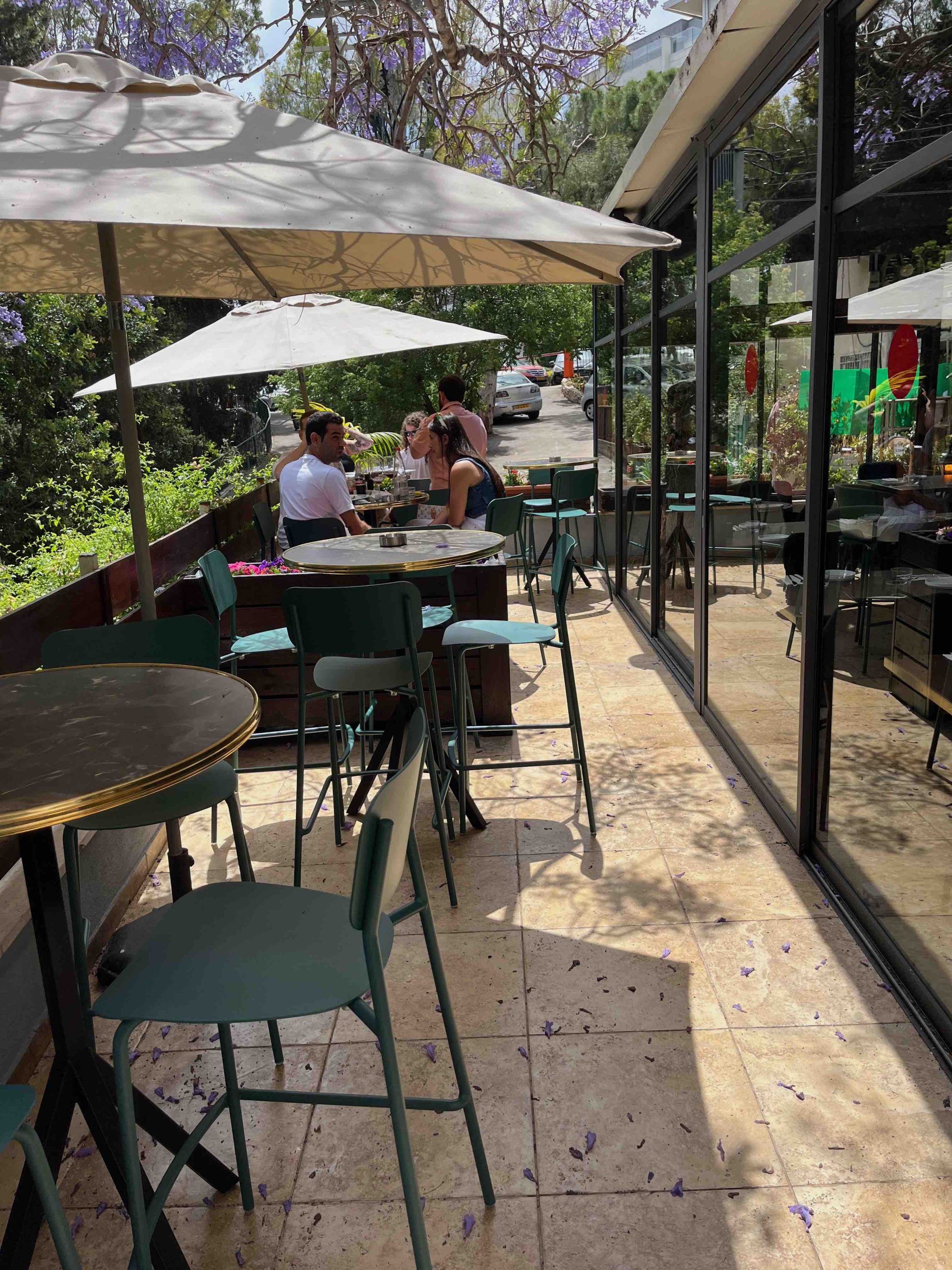 החצר של אוליפנט (צילום: נמרוד אשכנזי)