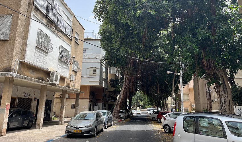 הדר (צילום: נמרוד אשכנזי)
