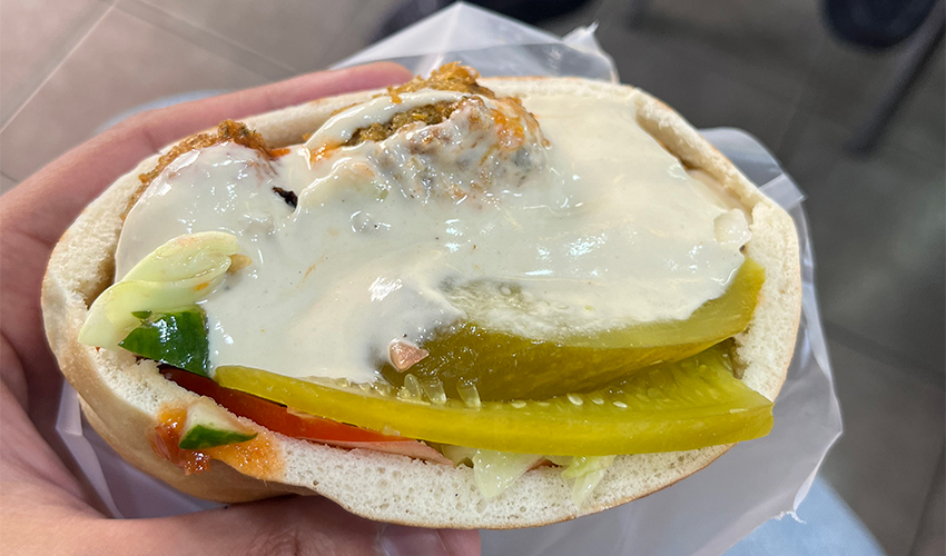 מנה בפלאפל אבו אחמד (צילום: נמרוד אשכנזי)