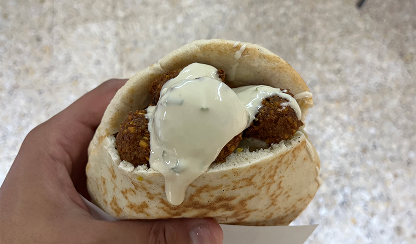 מנה בפלאפל הזקנים (צילום: נמרוד אשכנזי)