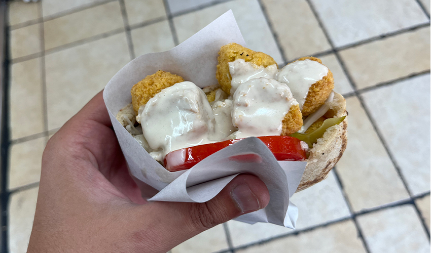 מנה בפלאפל אוריון (צילום: נמרוד אשכנזי)