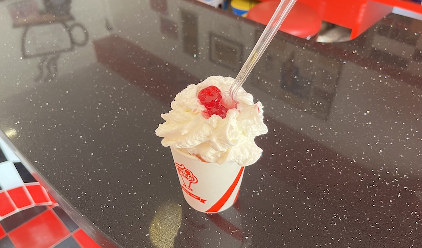 גלידת תל חנן קלאסית (צילום: נמרוד אשכנזי)