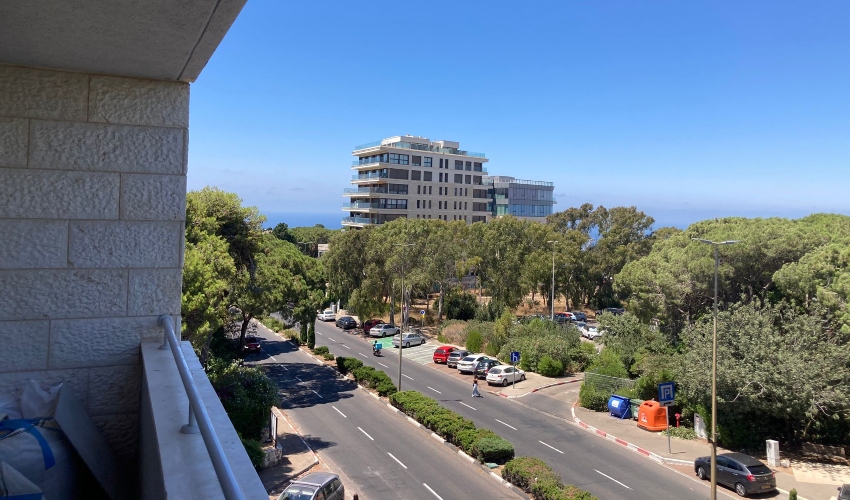 פרויקט "הנשיא 60" (צילום: פרטי)