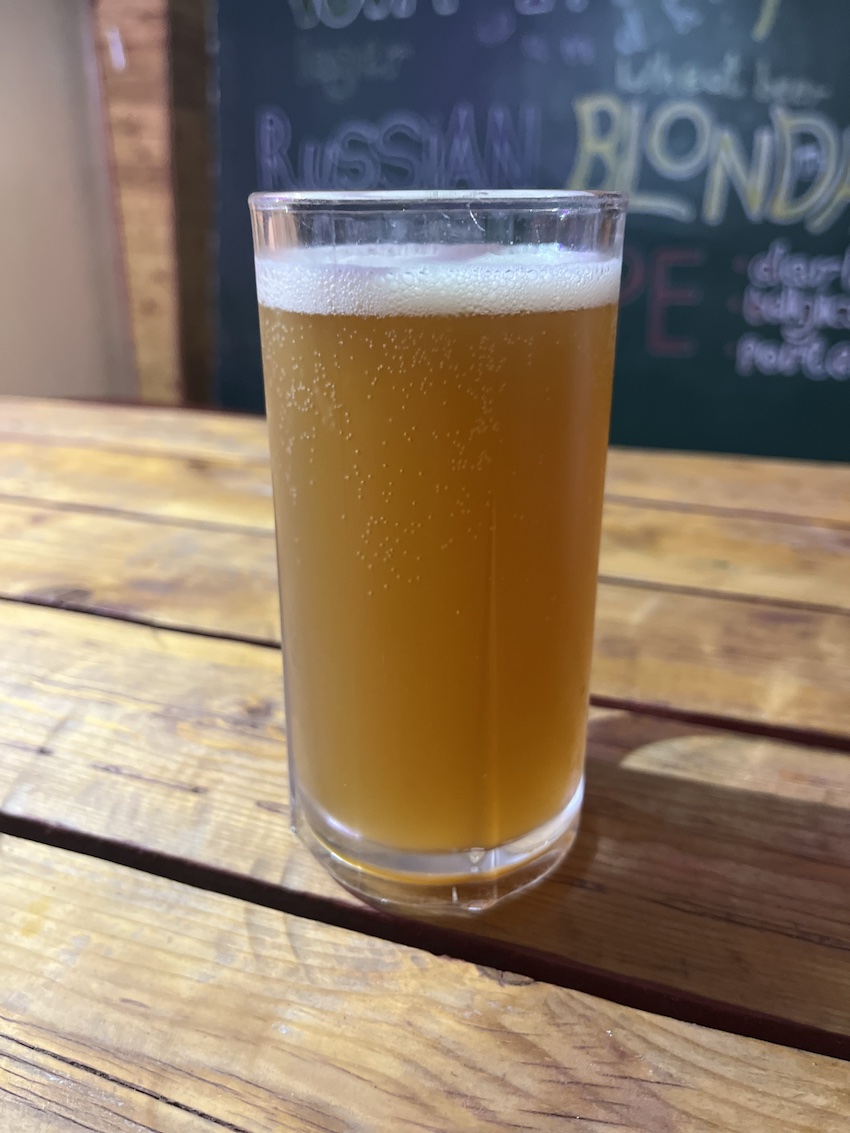 בירה גנדי במבשלת בת גלים (צילום: נמרוד אשכנזי)