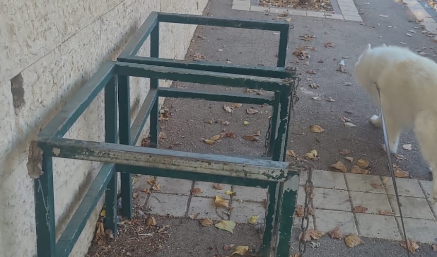 מתקנים לפחי אשפה ללא פח בדניה