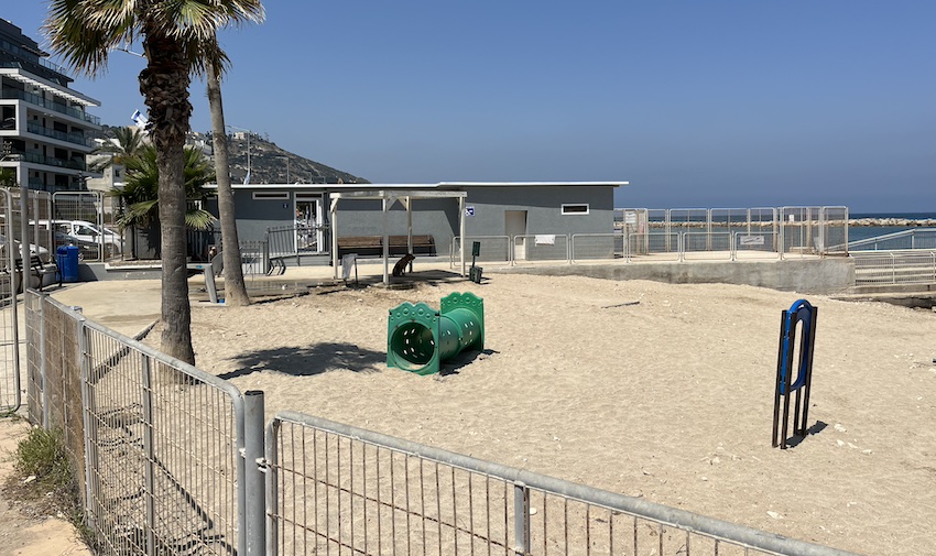 חוף הכלבים בבת גלים (צילום: נמרוד אשכנזי)