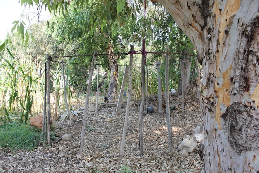 בסיס הגוג׳ו הלא גמור בגינה הקהילתית בנווה דוד (צילום: רבקה בלאי)