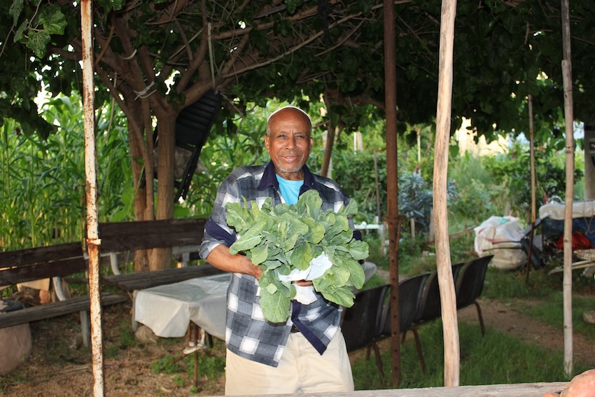 מתוך התערוכה גברא במוזיאון העיר חיפה (צילום: רבקה בלאי)