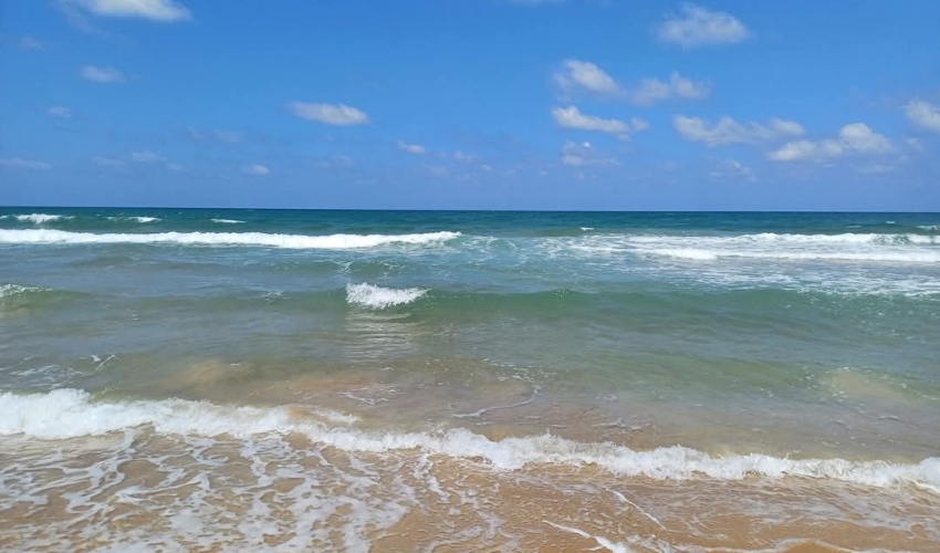 החוף של דהבייה, 2025 (צילום: ליאור פרי)