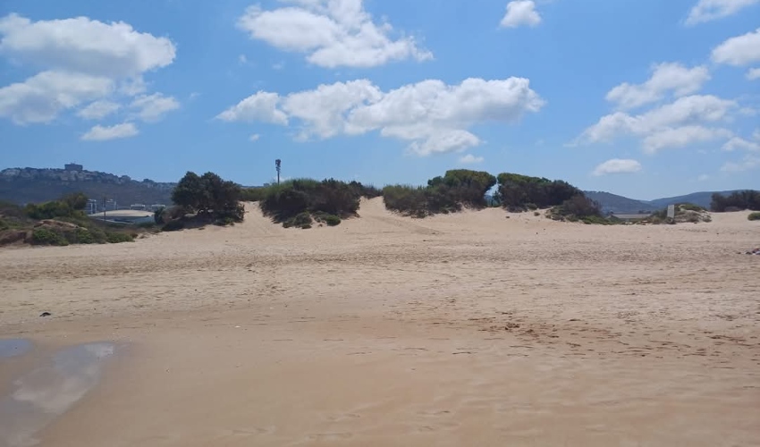 הגבעות שבהן הוקמה דהבייה, 2025 (צילום: ליאור פרי)