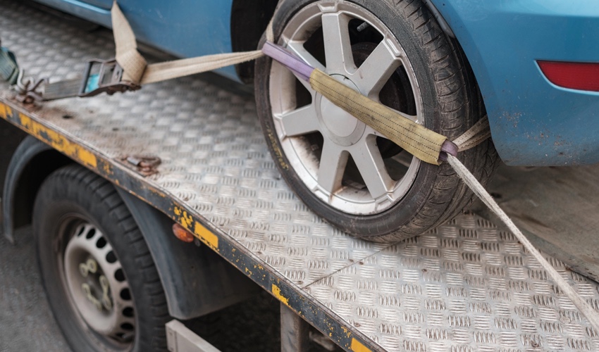 גרר (צילום: mrdoomits/depositphotos.com)