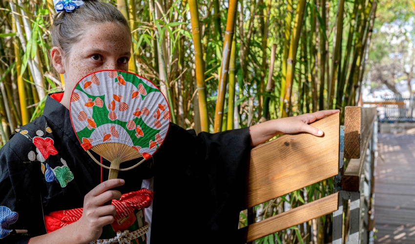 יום יפן במוזיאון טיקוטין (צילום: חברת המוזיאונים)