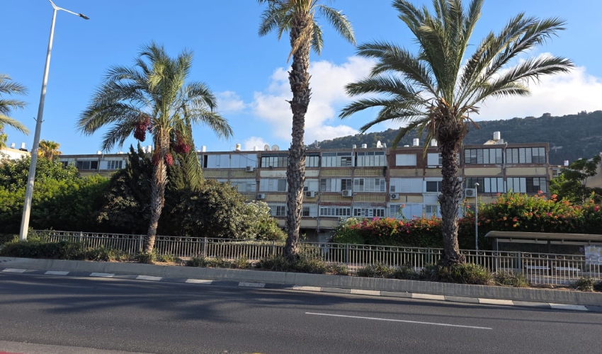 השטח שבו צפוי לקום הפרויקט, מבט משדרות ההגנה (צילום: בועז כהן)