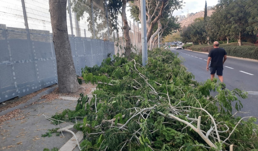 חסימת המדרכה והחניות בגזם (צילום: רולי קירשטיין)