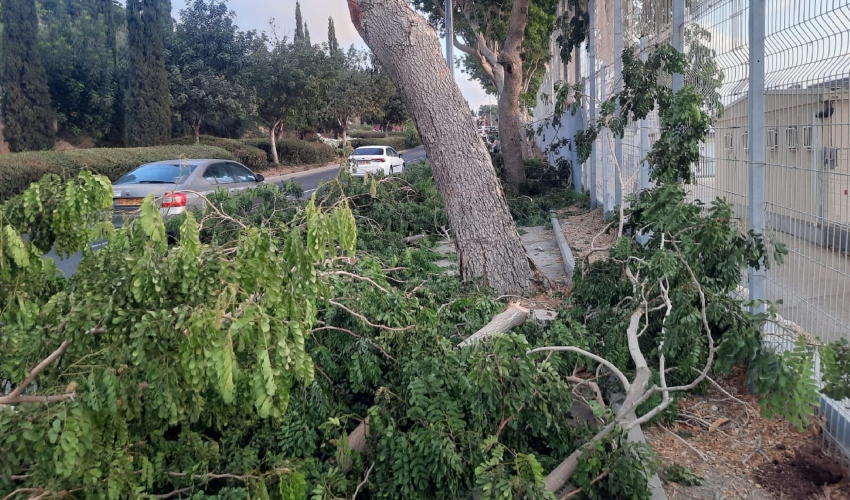 חסימת המדרכה והחניות בגזם (צילום: רולי קירשטיין)