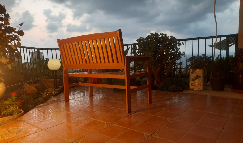 גשם בכרמל מערבי, הבוקר (צילום: רולי קירשטיין)