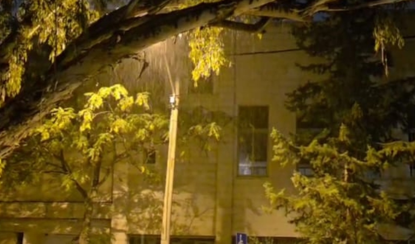 גשם ראשון בקרית אליעזר, אתמול (צילום: בועז כהן)