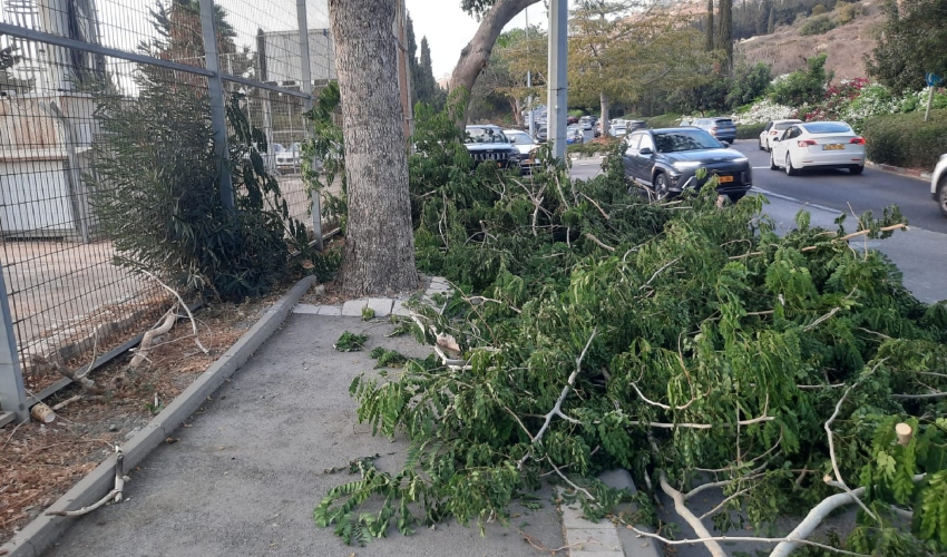חסימת המדרכה והחניות בגזם (צילום: רולי קירשטיין)