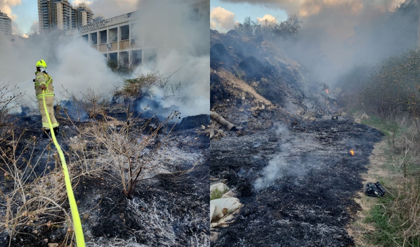 שריפה בשטח פתוח בחיפה (צילום: דוברות כבאות והצלה)