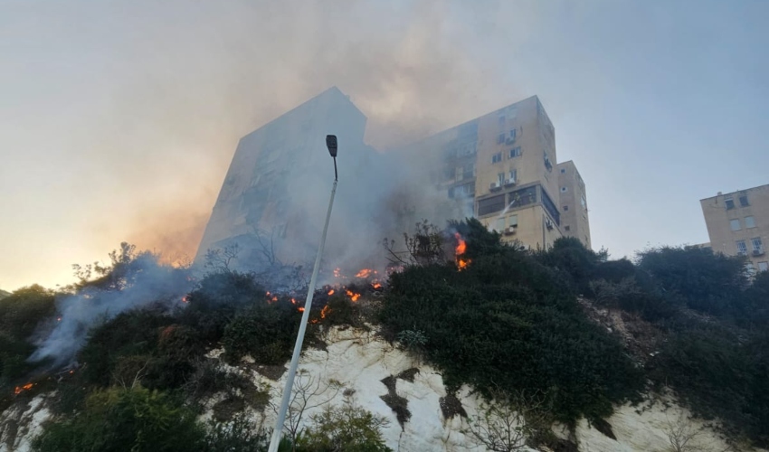 השריפה בעין הים (צילום: דוברות רשות הכבאות וההצלה)