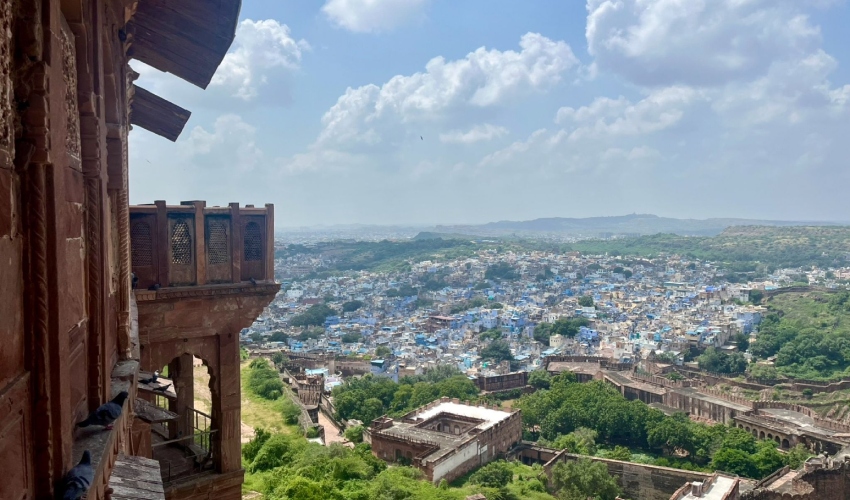ג'ודפור, העיר הכחולה - מראה מהמצודה (צילום: מוטי ורסס)