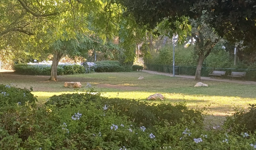 גן יוכבד (צילום: ליאור פרי)