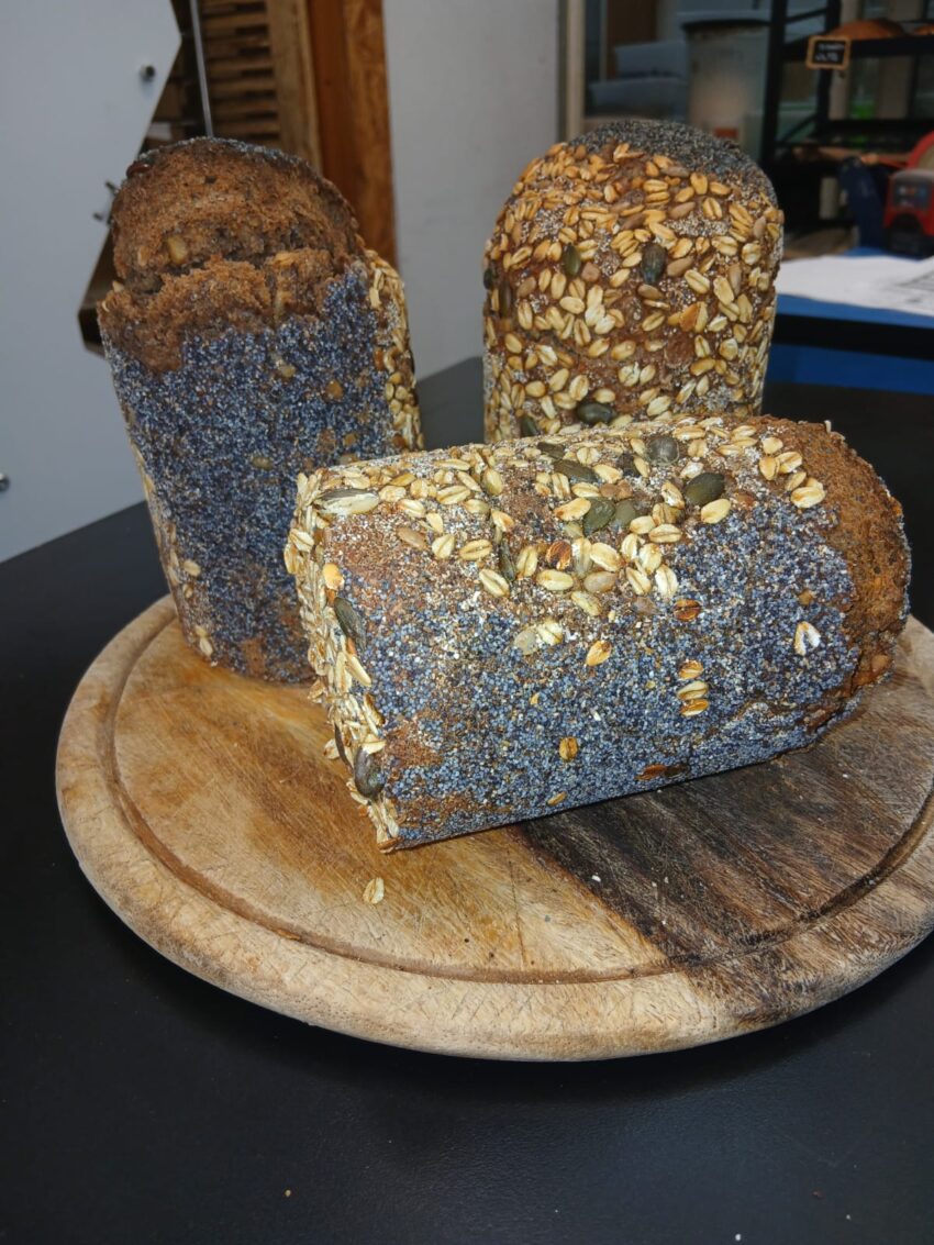 לחמי מחמצת בפת שטינבך (צילום: אלבום פרטי)