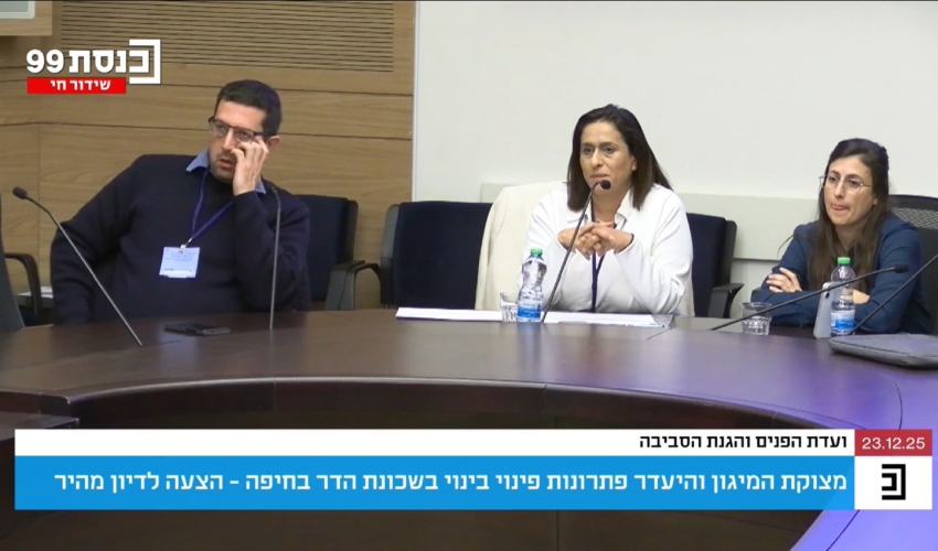 סגנית ראש העיר שרית גולן שטיינברג בדיון בוועדת הפנים (צילום: מתוך ערוץ הכנסת)