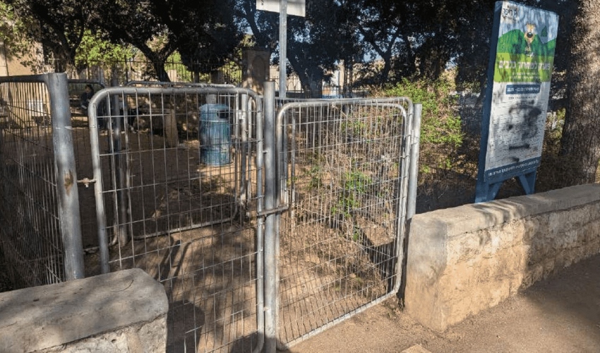 גינת הכלבים בגן הטכניון ההיסטורי (צילום: מתוך הערר שהוגש לבית המשפט)